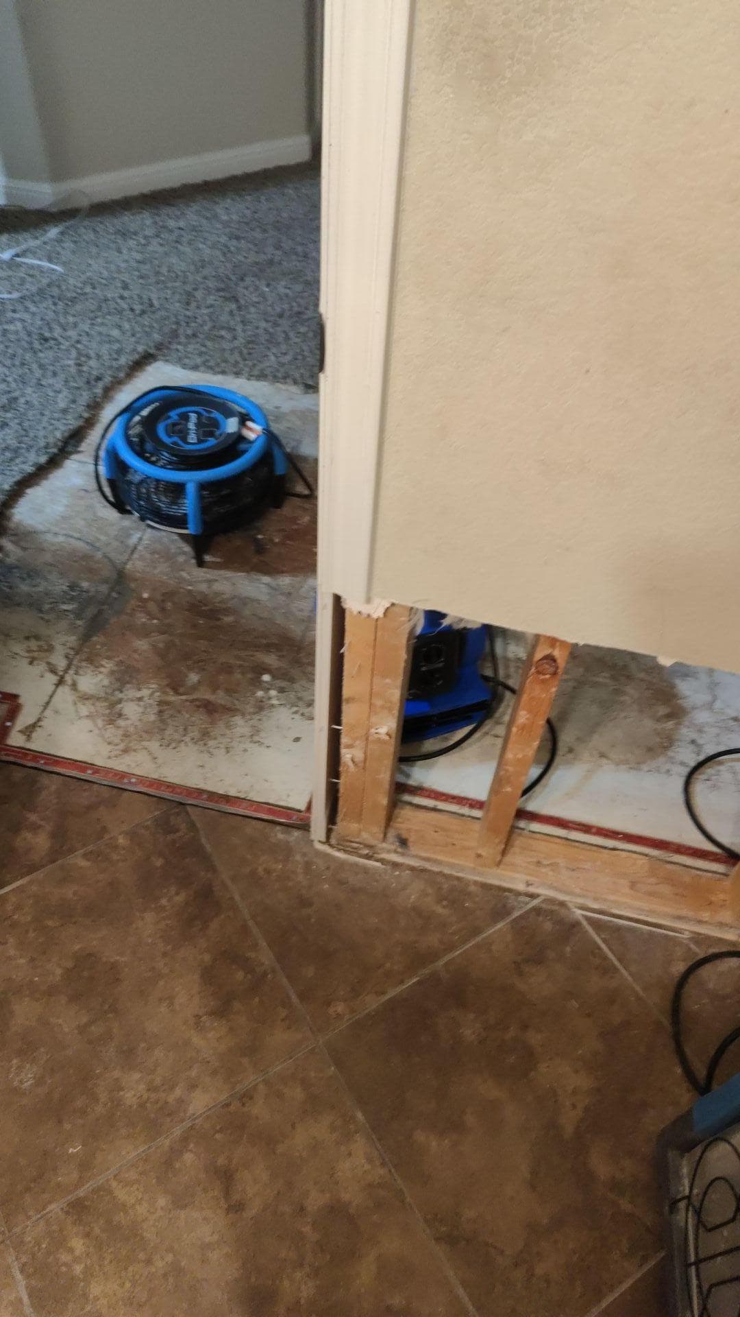 Gallery photos for Swift Bathroom Recovery After Toilet Overflow: Image #4